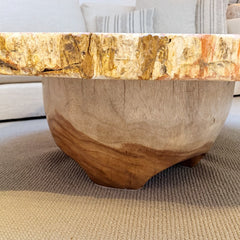 petrified wood coffee table with wood base
