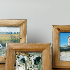 pine and silver light picture frame collection