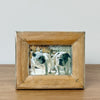 pine and silver light picture frame collection