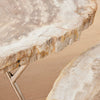 the petrified wood nesting coffee tables