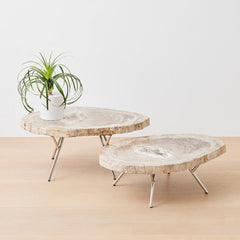the petrified wood nesting coffee tables