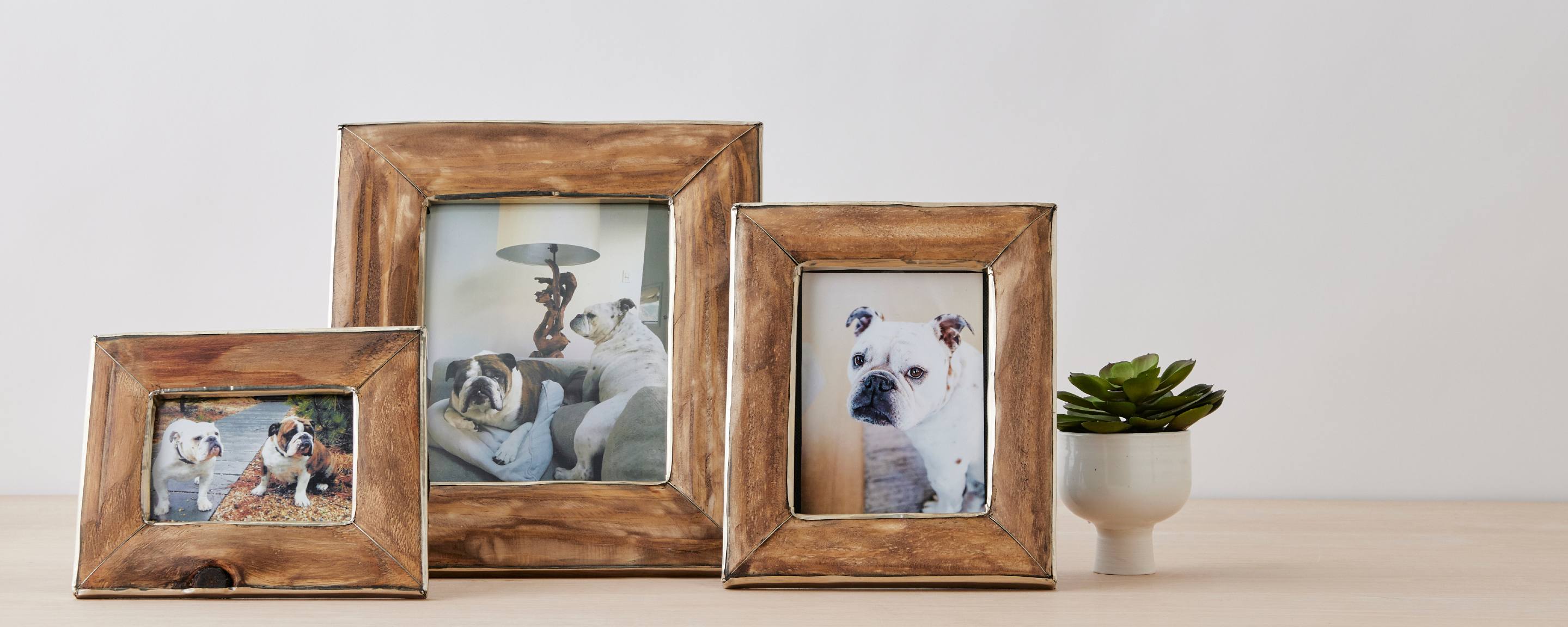 pine and silver picture frame collection