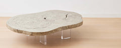 the portland coffee table with lucite legs