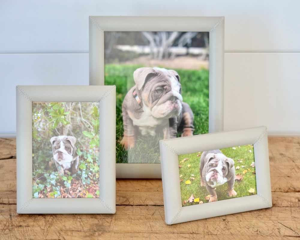 grey leather picture frame collection