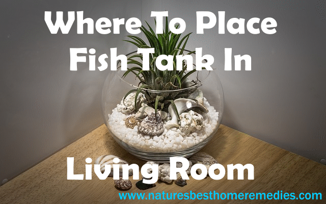 living room fish tank ideas