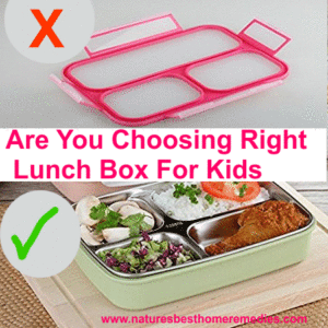 choosing best safe lunch box kids