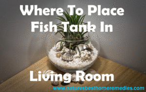 living room fish tank ideas