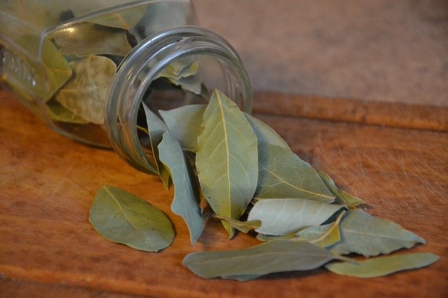 This image has an empty alt attribute; its file name is bay-leaf-in-hindi.jpg
