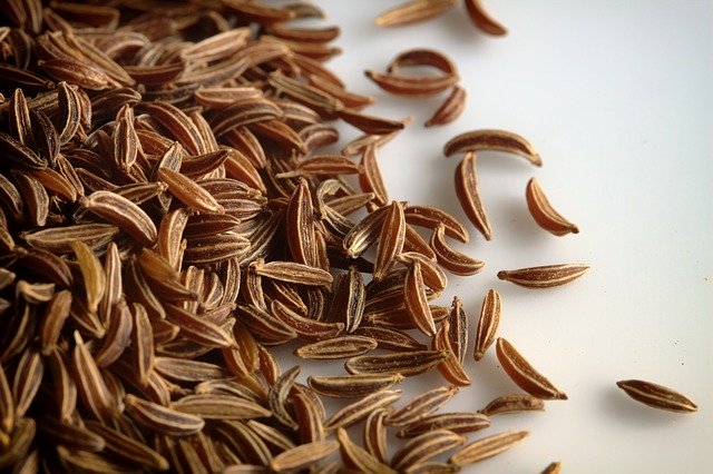 This image has an empty alt attribute; its file name is caraway-seeds-hindi-name.jpg