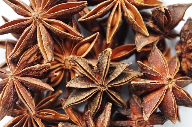 This image has an empty alt attribute; its file name is star-anise-1049573_640.jpg