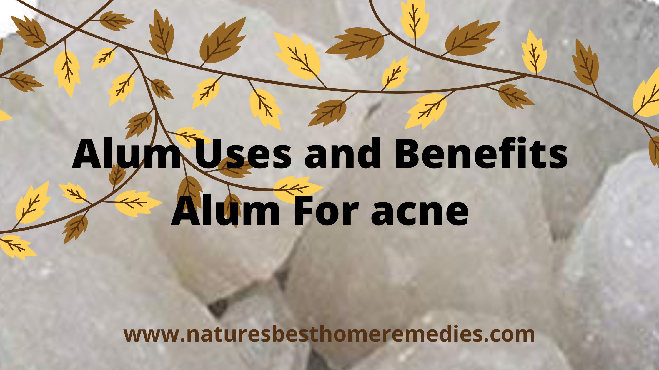 benefits and uses of alum powder