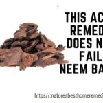 neem bark acne home remedy