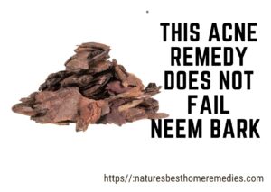 neem bark acne home remedy
