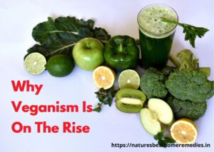 why veganism is so popular