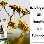 helichrysum oil benefits