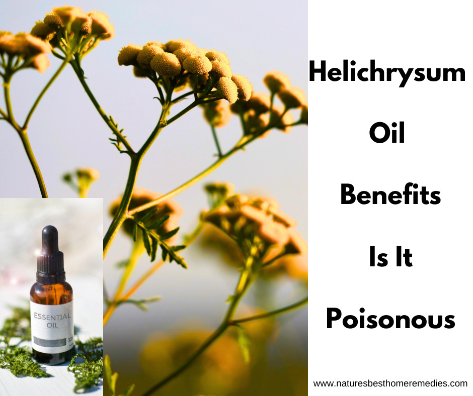 helichrysum oil benefits