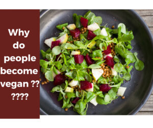 Why do people become vegan why veganism